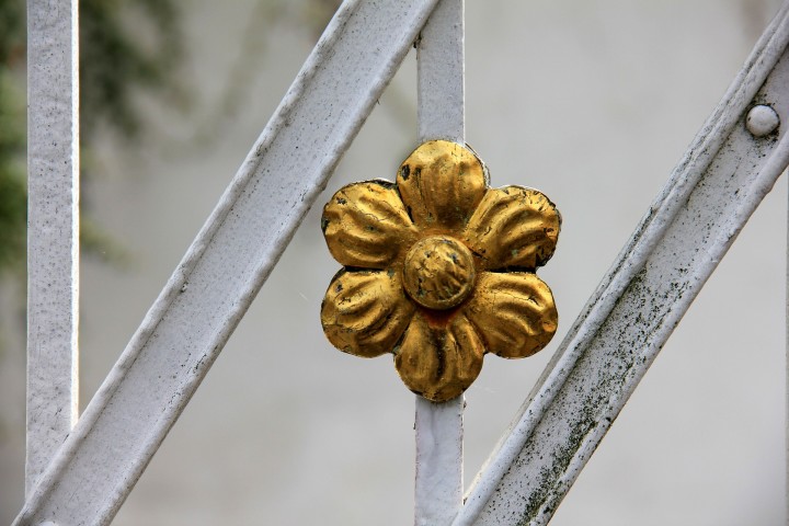 złoty kwiat, medal na bramie