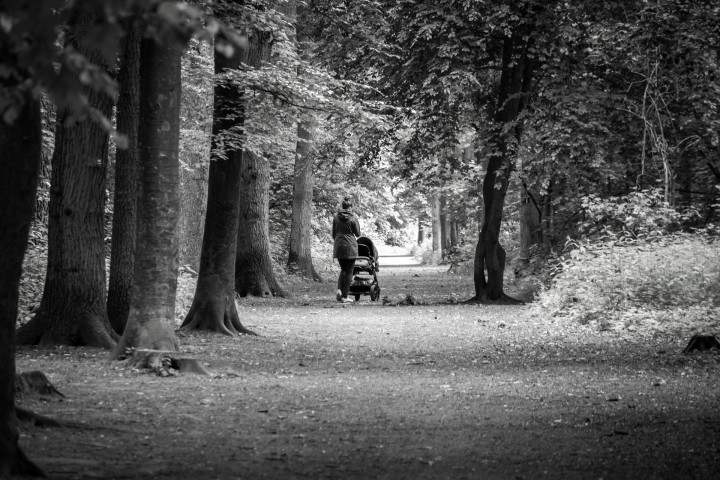 kobieta z wózkiem na spacerze w lesie
