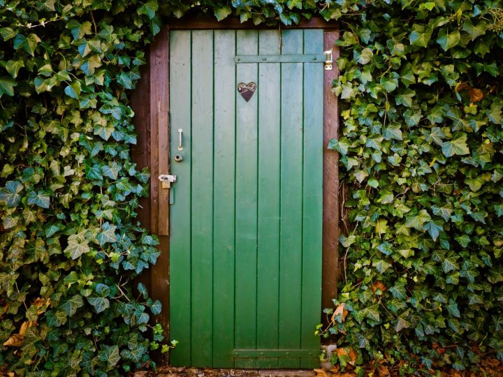 zielone, drewniane drzwi toalety